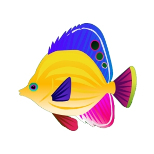 Lemonseed Butterflyfish